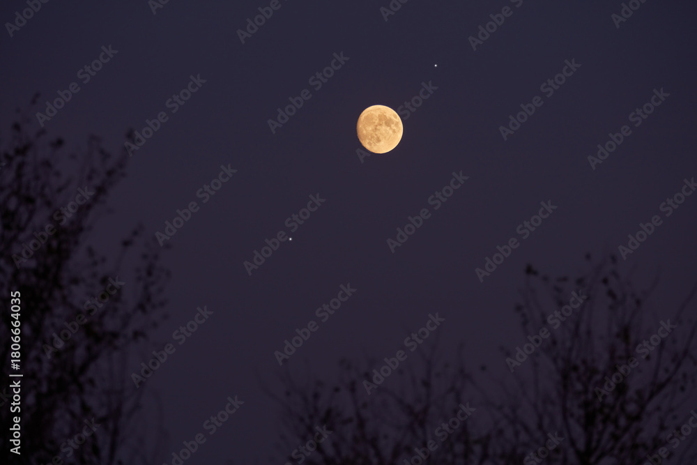 Fototapeta premium Full Moon, stars, planets and landscape scenery silhouettes.