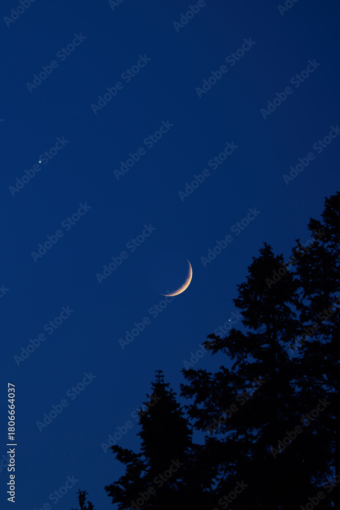 Fototapeta premium Crescent young Moon with stars, planets and rural countryside tree silhouettes.