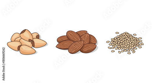 Detailed flat nuts and seeds: pine nuts, almonds, sesame seeds