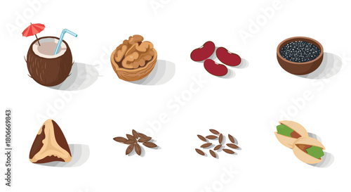 Isometric nut and seed collection with coconut, walnut, and pistachio on white background