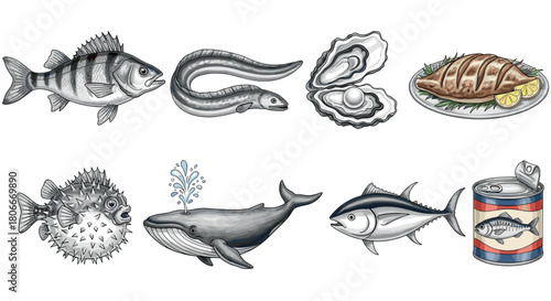 Realistic seafood and fish collection with eight detailed illustrations