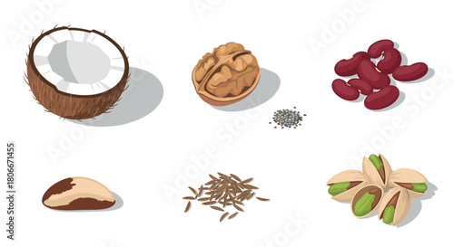 Isometric nuts and seeds collection on white background