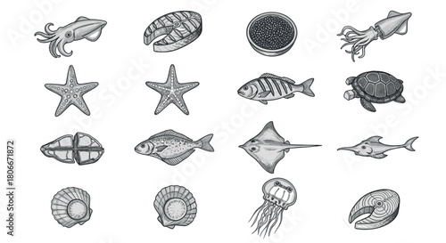 Hand drawn sea creatures collection: diverse marine life sketches