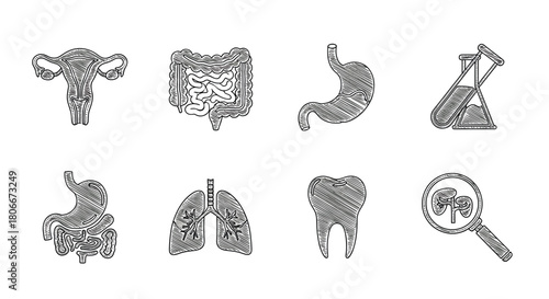 Sketched medical icons set: digestive, respiratory, and dental health