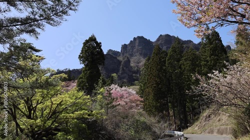 Wallpaper Mural 桜吹雪が美しい妙義山の春 Torontodigital.ca