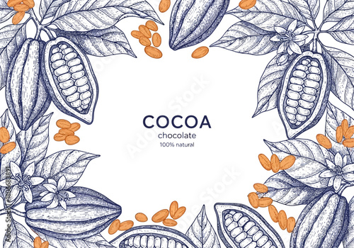 Vintage Cocoa and Chocolate Botanical Frame Vector: Hand-Drawn Etching of Cacao Pods, Beans, and Leaves for Premium Packaging Design