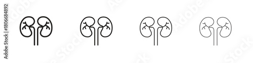 Kidneys icons. Simple solid style. thin stroke line icons
