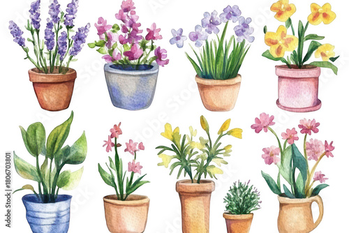 A watercolor illustration a variety of potted flowers. including lavender. violets. and daisies. arranged artistically with soft colors on a white background. ideal for gardening or home decor themes