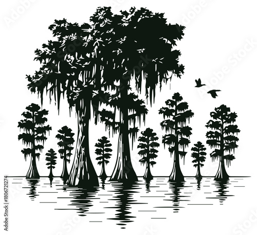 Detailed Cypress Tree in Swamp Black and White Vector Illustration