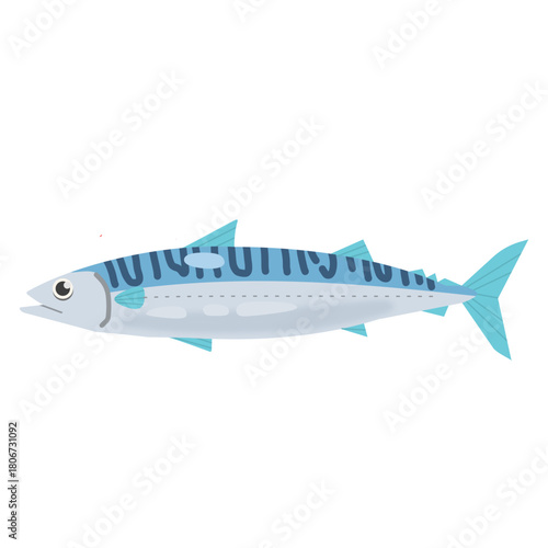 Vector illustration of a mackerel fish