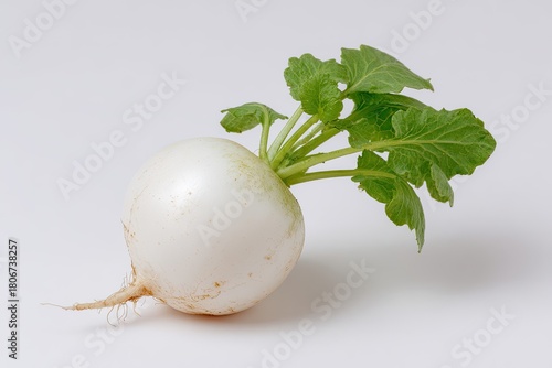 White radish with leaves (1)
