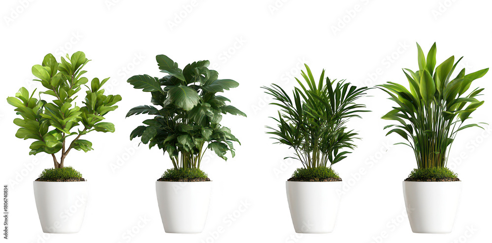 Fototapeta premium A collection of four indoor plants in white pots. lush green foliage. arranged neatly against a transparent background. ideal for home decor or gardening inspiration