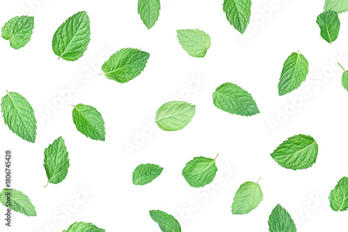 A arrangement of fresh green mint leaves scattered against a clean white background. ideal for culinary. health. or nature-themed projects