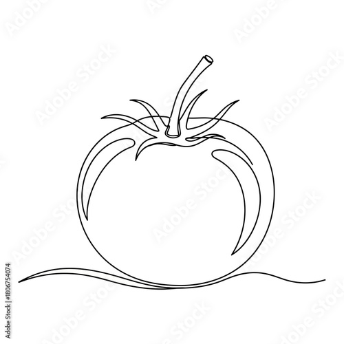 A single line drawing of a ripe tomato, showcasing its natural curves and form, isolated on
