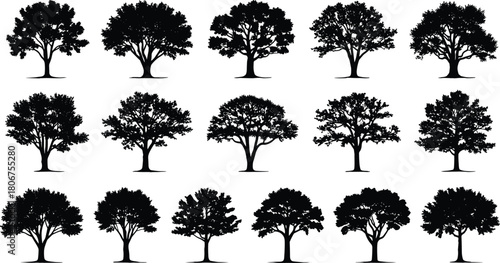 Collection of detailed tree silhouettes with various shapes and foliage styles, natural forest elements for landscape design, environment artwork and decoration