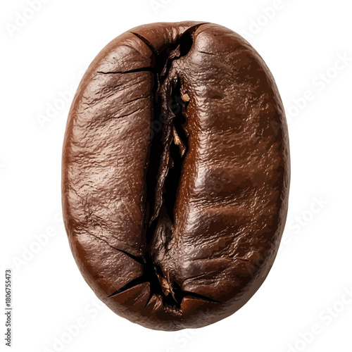 A single roasted coffee bean isolated on, showcasing its rich texture, aroma, and the essence of a perfect morning brew