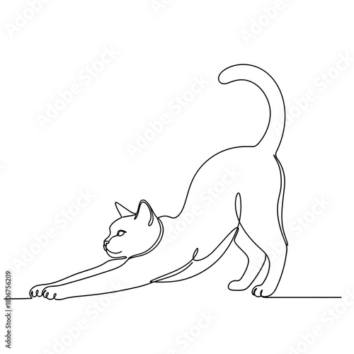 Continuous line drawing of a stretching cat isolated on graceful feline yoga pose in minimalist style, perfect for modern design