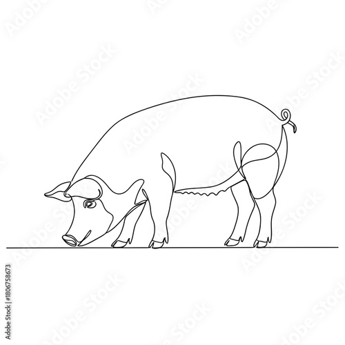 Pig drawn using one continuous line isolated on minimalist vector art simple outline drawing farm animal and livestock concept illustration