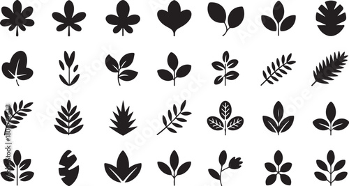 Set of Black Silhouette Leaves and Branches Isolated on White