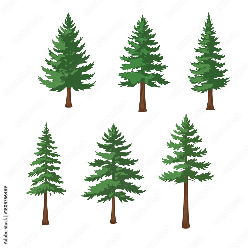Fototapeta premium Pine Tree Illustration Bundle , Evergreen Conifer Forest Vector Elements for Nature Landscape, Winter Christmas Design, Outdoor Scenery Decoration, Editable Clipart Graphic Set