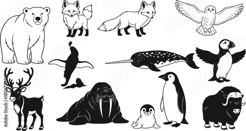 Arctic and Antarctic Animals in Black and White Line Art Style polar bear puffin