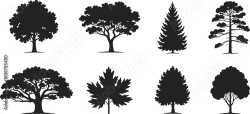Tree silhouette vector collection, oak pine and maple leaf nature set, black forest plant icons isolated on white background