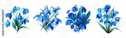 Delicate watercolor snowdrop flowers blooming in an early spring garden with blue petals and fresh green leaves.First spring flowers.