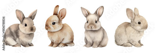 Watercolor set of cute brown rabbits. Watercolor bunny rabbits on an isolated background. Easter symbols. Pets. Vector illustration.