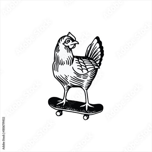 Cool chicken riding skateboard is perfect for fun logos or quirky branding on white background graphic