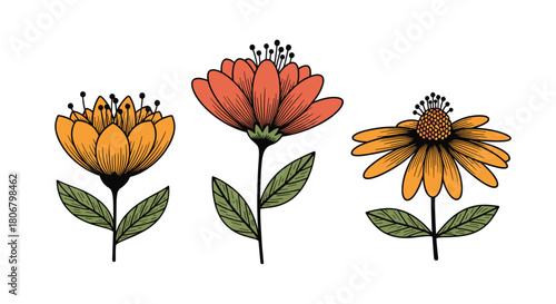 Three colorful hand-drawn flowers with green leaves on a white background, perfect for nature and floral designs.