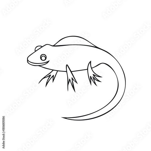 Simple line art drawing of a lizard or salamander. Cute amphibian outline for coloring page or icon.