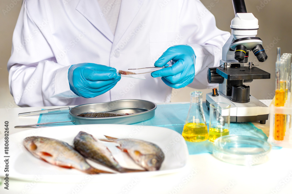 Fototapeta premium Research fish in the lab. Selective focus.
