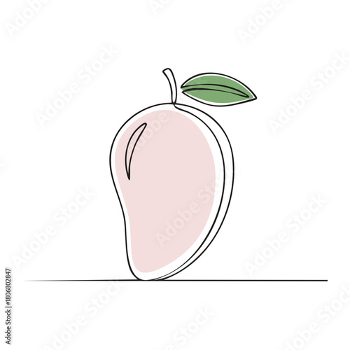 Minimalist single continuous line mango fruit illustration