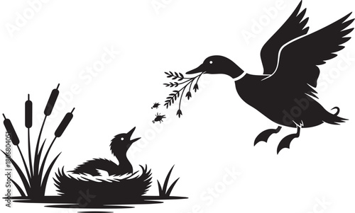 Mallard duck feeding chick in a nest silhouette vector illustration with cattails on pond or marsh water
