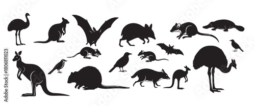 Animal silhouette collection with white background