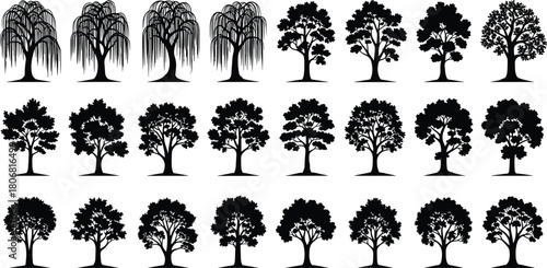 Detailed collection of various tree silhouettes including willow, oak and forest species, nature illustration set for landscape design, botanical artwork themes