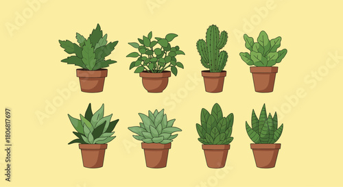 Collection of various illustrated green houseplants in brown terracotta pots including succulents and cacti on a yellow background.