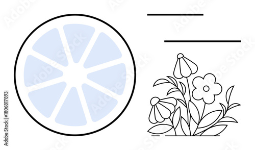 Circular citrus slice paired with blooming flowers and minimalist lines. Ideal for eco-friendly design, nature concepts, organic themes, healthy living, sustainability, freshness, simple flat