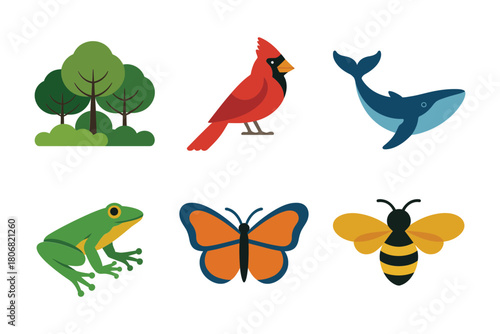 Wildlife biodiversity icons, forest tree, red bird, blue whale, green frog, orange butterfly, honey bee, conservation vector