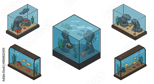 Isometric aquariums with diverse fish and plants in clean modern design