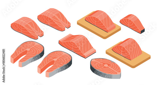 Variety of salmon cuts in isometric view: fresh and detailed illustrations