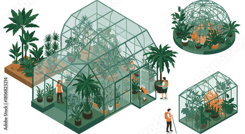 Isometric greenhouse gardens with people: plants, palm trees, and glass structures