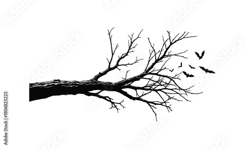 Black silhouette of dead tree branches isolated on white for winter nature vector