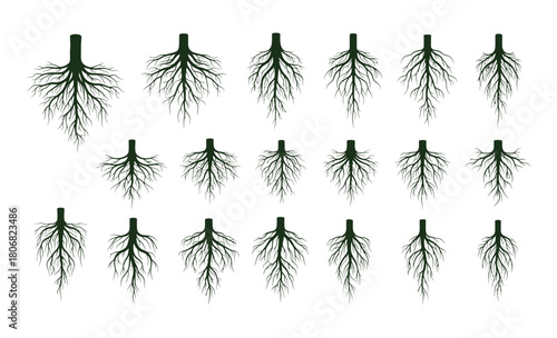 Set of bamboo silhouettes with green leaves and branches of nature forest illustration vector