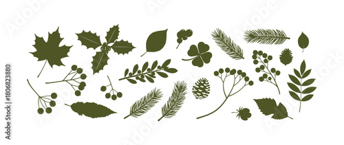 Green grass vector illustration with spring flowers, leaf, and plant botany isolated on a white background