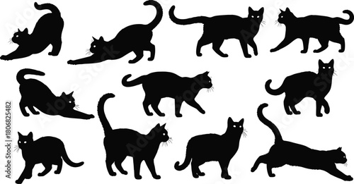 Collection of black cat silhouettes in various playful, stretching, walking, and standing poses illustrating feline movement, behavior, posture, and 