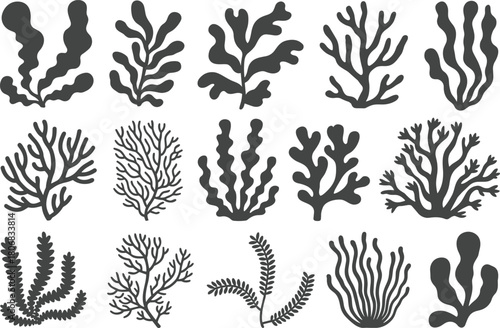 Seaweed and coral silhouette vector set, underwater marine plant icons collection, aquarium algae and reef leaf illustration, black isolated graphics