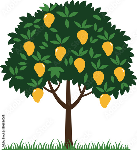 Mango tree illustration, green foliage, yellow mangoes, stylized tree art, fruit tree design, nature drawing, tropical tree sketch, botanical concept