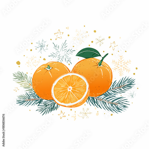 Vector Winter Oranges Illustration for Holiday Packaging and Seasonal Food Labels