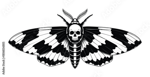Death moth illustration black and white skull moth tattoo design art eps silhouette